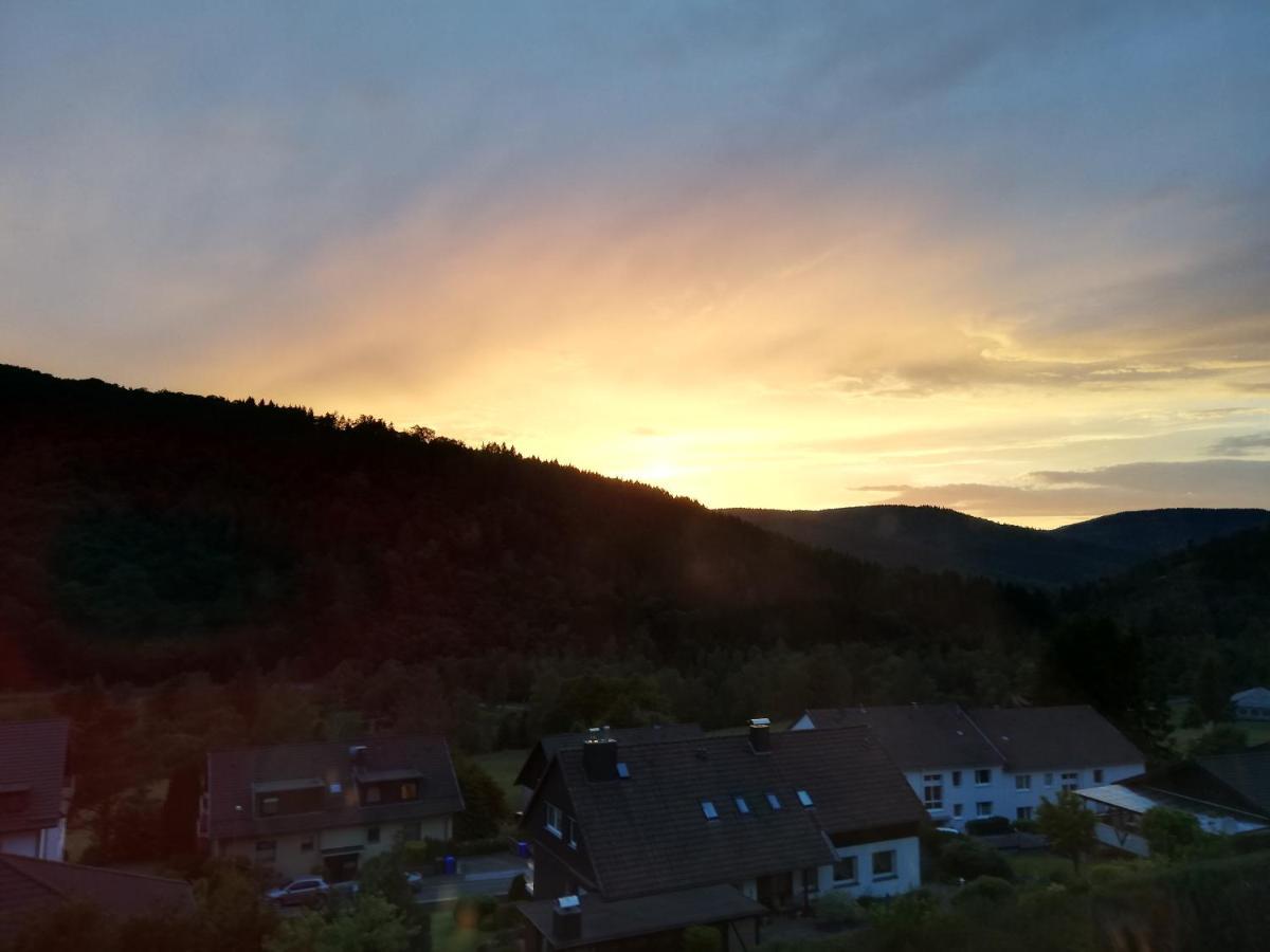 Hills Hut Βίλα Langelsheim Εξωτερικό φωτογραφία