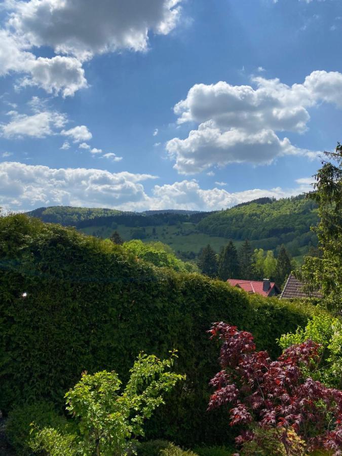 Hills Hut Βίλα Langelsheim Εξωτερικό φωτογραφία