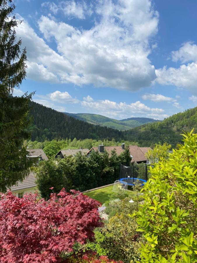 Hills Hut Βίλα Langelsheim Εξωτερικό φωτογραφία